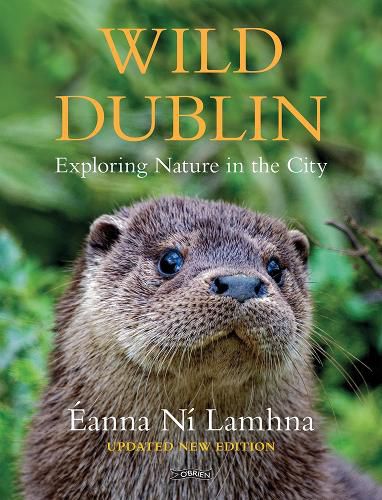Cover image for Wild Dublin