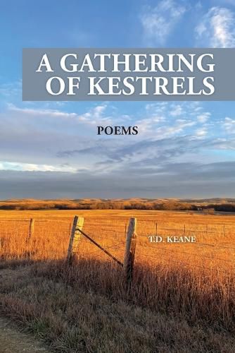 Cover image for A Gathering of Kestrels