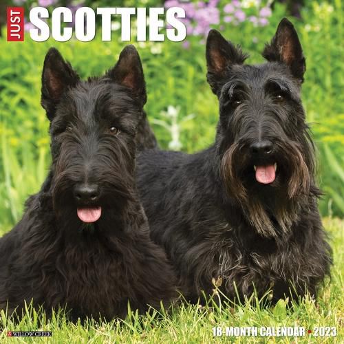 Cover image for Just Scotties 2023 Wall Calendar