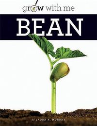 Cover image for Bean