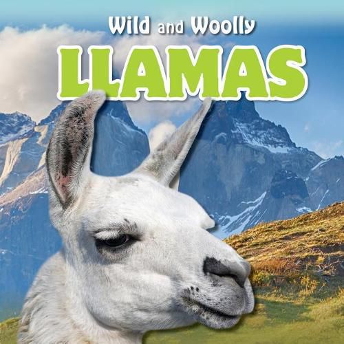 Cover image for Llamas