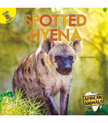 Cover image for Spotted Hyena