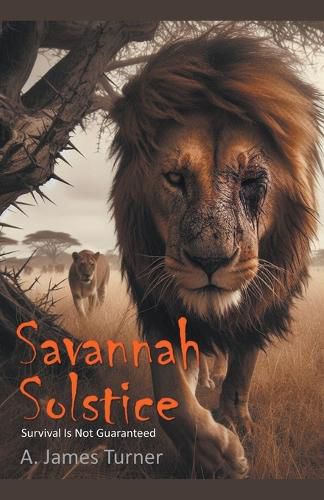 Cover image for Savannah Solstice