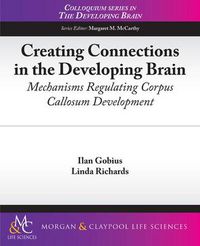 Cover image for Creating Connections in the Developing Brain: Mechanisms Regulating Corpus Callosum Development