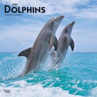 Cover image for Dolphins 2020 Square Wall Calendar