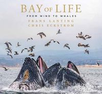 Cover image for Bay of Life: From Wind to Whales