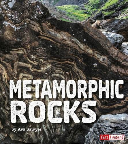 Cover image for Metamorphic Rocks (Rocks)