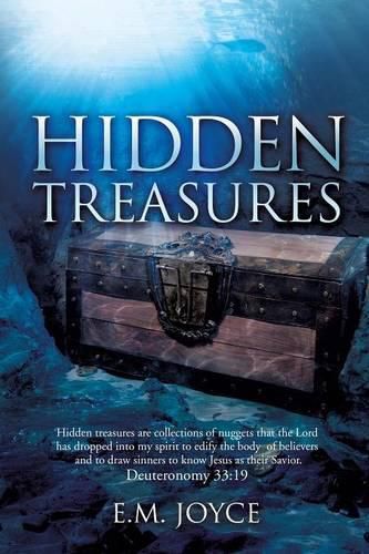 Cover image for Hidden Treasures