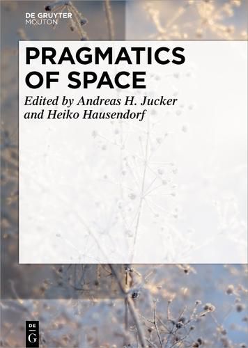 Cover image for Pragmatics of Space