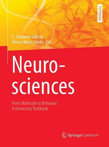 Cover image for Neurosciences - From Molecule to Behavior: a university textbook