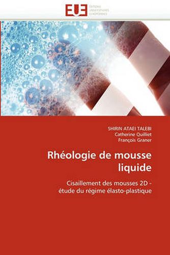 Cover image for Rheologie de Mousse Liquide