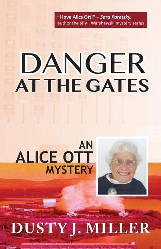 Cover image for Danger at the Gates