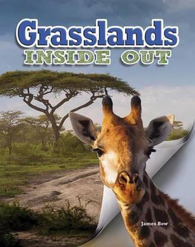 Cover image for Grasslands Inside Out