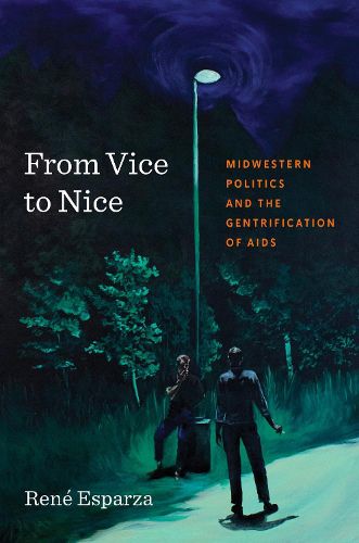 Cover image for From Vice to Nice
