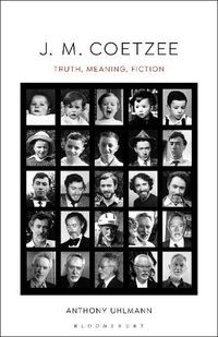 Cover image for J. M. Coetzee: Truth, Meaning, Fiction