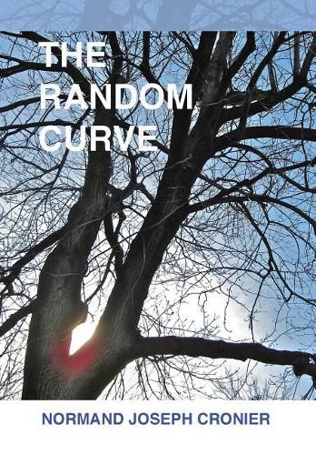 Cover image for The Random Curve