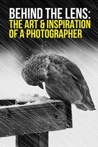 Cover image for Behind the Lens