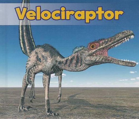 Velociraptor (All About Dinosaurs)