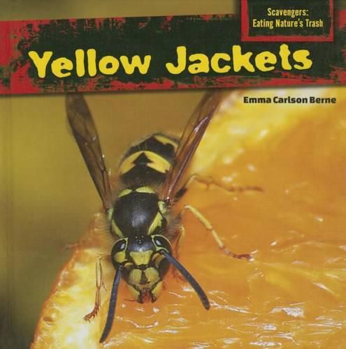 Yellow Jackets