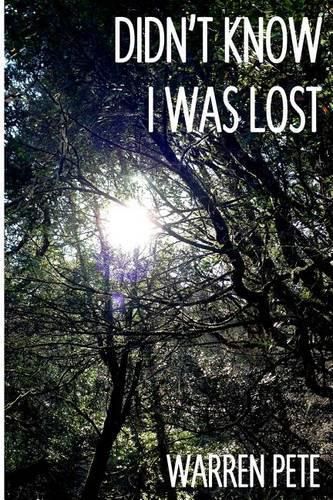 Cover image for Didn't Know I Was Lost