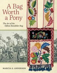 Cover image for A Bag Worth a Pony: The Art of the Ojibwe Bandolier Bag