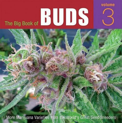 Cover image for The Big Book of Buds, Volume 3: More Marijuana Varieties from the World's Great Seed Breeders