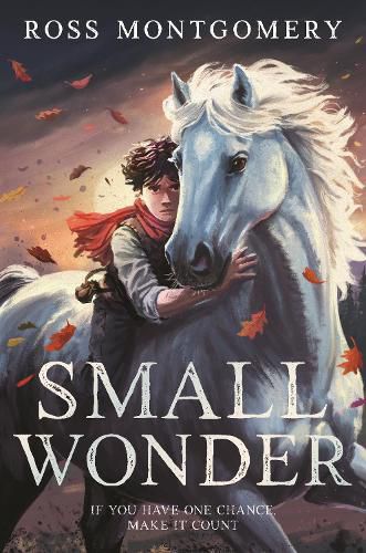 Cover image for Small Wonder