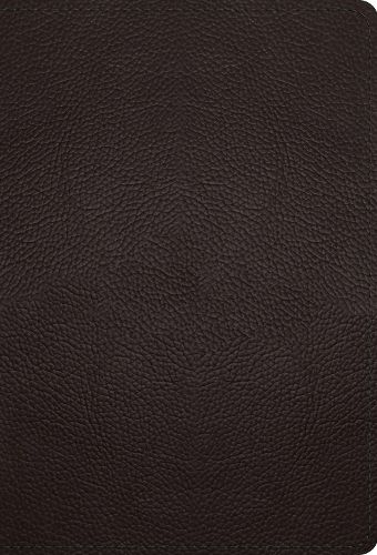 Cover image for ESV Large Print Compact Bible, Red Letter