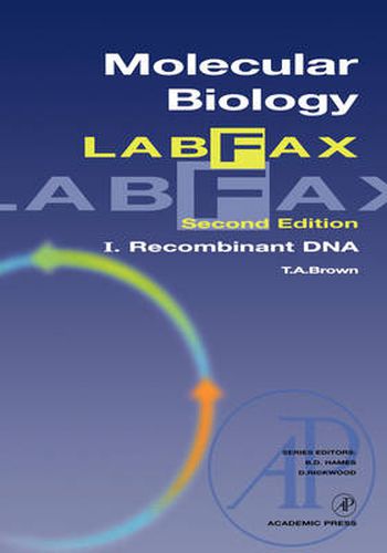 Cover image for Molecular Biology LabFax: Recombinant DNA