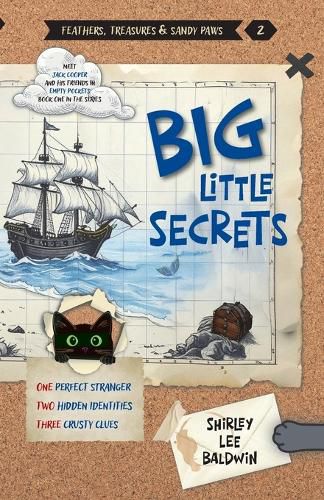 Cover image for Big Little Secrets