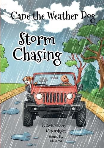 Cover image for Storm Chasing