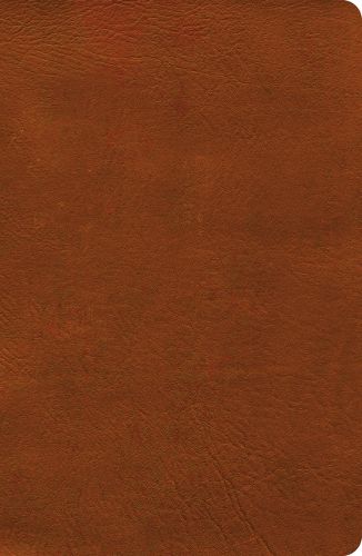 Cover image for NASB Verse-By-Verse Reference Bible, Burnt Sienna Leathertouch