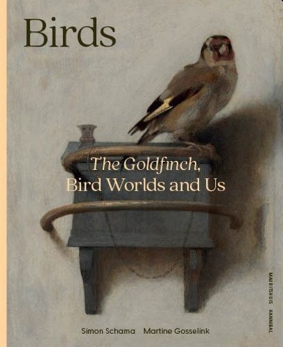 Cover image for Birds