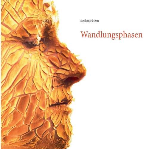 Cover image for Wandlungsphasen: Meine Reise zum Ich