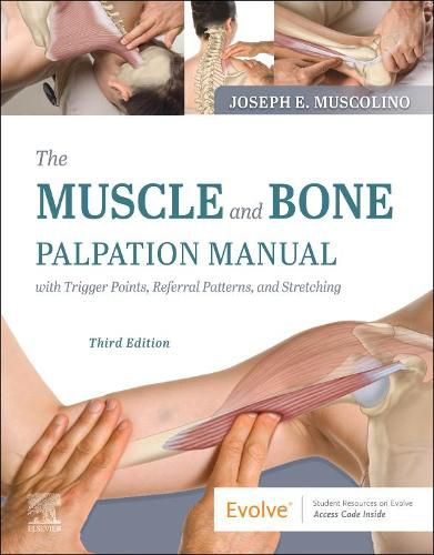 Cover image for The Muscle and Bone Palpation Manual with Trigger Points, Referral Patterns and Stretching