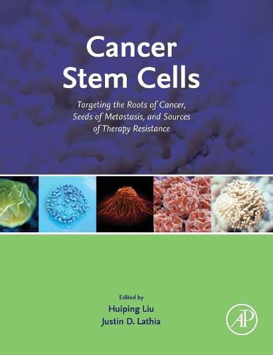 Cover image for Cancer Stem Cells: Targeting the Roots of Cancer, Seeds of Metastasis, and Sources of Therapy Resistance