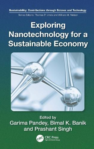 Cover image for Exploring Nanotechnology for a Sustainable Economy