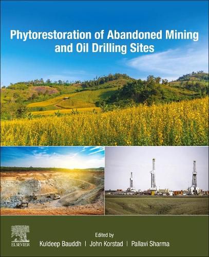 Cover image for Phytorestoration of Abandoned Mining and Oil Drilling Sites