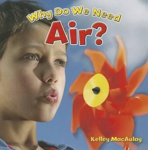 Cover image for Why Do We Need Air?