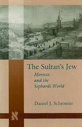 Cover image for The Sultan's Jew: Morocco and the Sephardi World