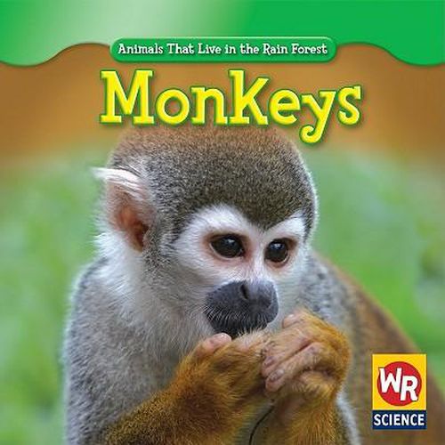 Cover image for Monkeys