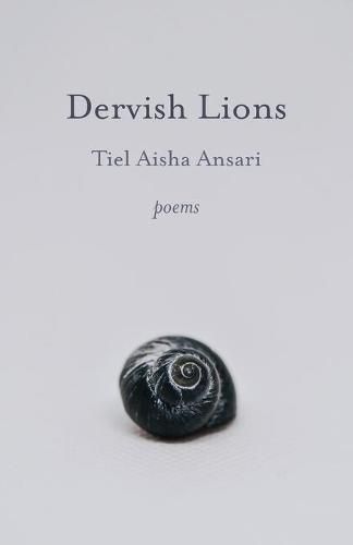 Cover image for Dervish Lions