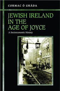 Cover image for Jewish Ireland in the Age of Joyce: A Socioeconomic History