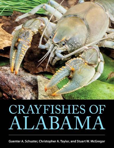 Cover image for Crayfishes of Alabama