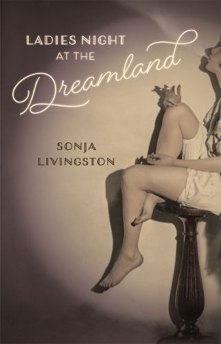 Cover image for Ladies Night at the Dreamland