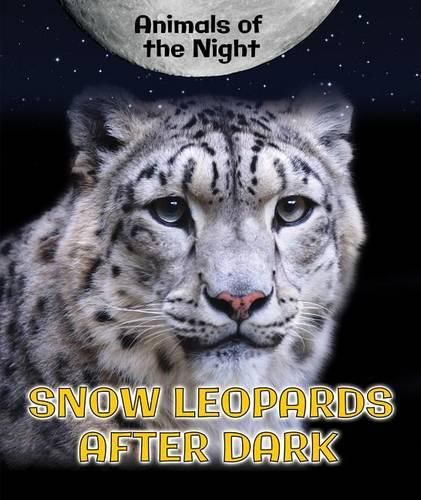 Snow Leopards After Dark