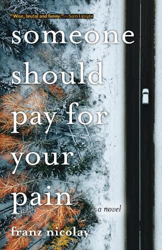 Cover image for Someone Should Pay for Your Pain: A Novel