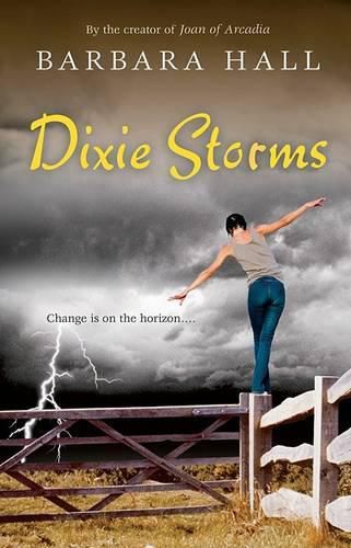 Cover image for Dixie Storms