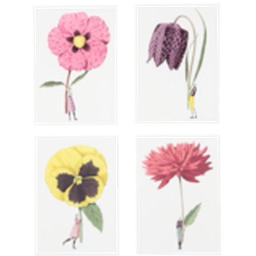 Cover image for In Bloom - Laura Stoddart Notecard