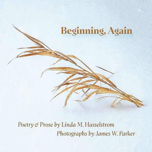 Cover image for Beginning, Again